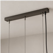 Astra linear canopy and adjustable cable detail